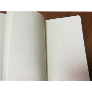 Записна книжка 'Делфі' А5 в крапку (Ivory Line)