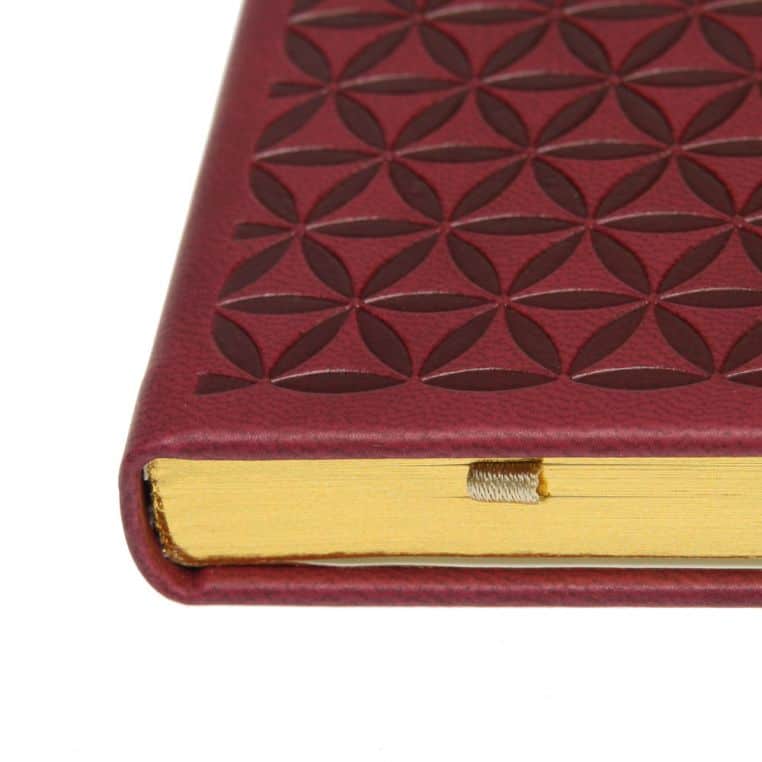 Записна книжка 'Chokobar' А5 золотий зріз (SETTEBELLO) - Зображення 5