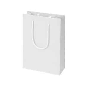 Пакет подарунковий Draft