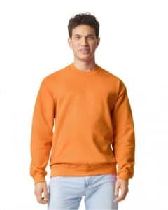 SOFTSTYLE® MIDWEIGHT FLEECE ADULT CREWNECK